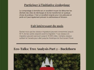 Tree Analysis